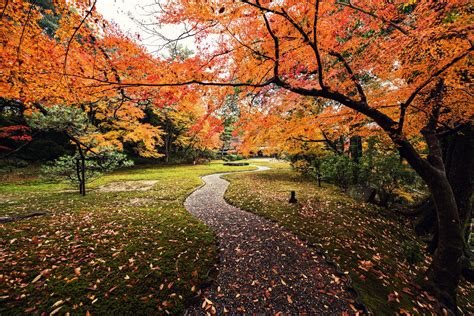 3840x2562 Autumn 4k Amazing Wallpaper Japan Landscape Autumn