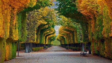 Schönbrunn Palace Gardens In Vienna Austria © Badahosshutterstock