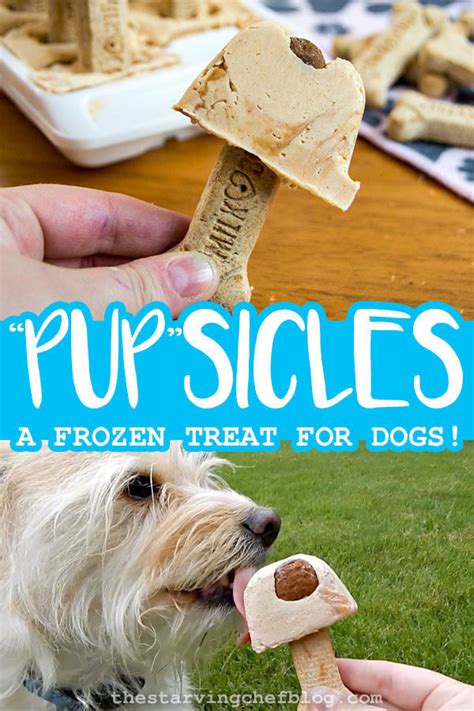 Then, add potato, carrots, kidney beans, green beans, and apple. PUPSICLES Recipe for Dogs | Recipe | Dog popsicles, Puppy ...