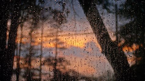 Raining Window Background