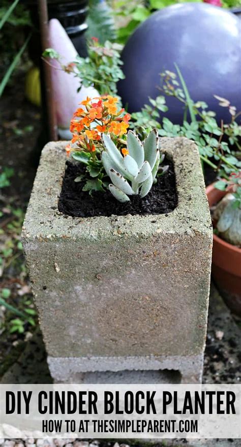 Check spelling or type a new query. Build Cinder Block Gardens to Make the Yard Look Amazing