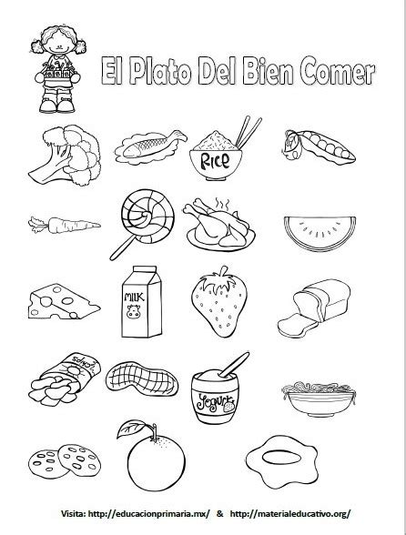 Material Didactico Actividad Del Plato Del Buen Comer Para Niños Material Colección