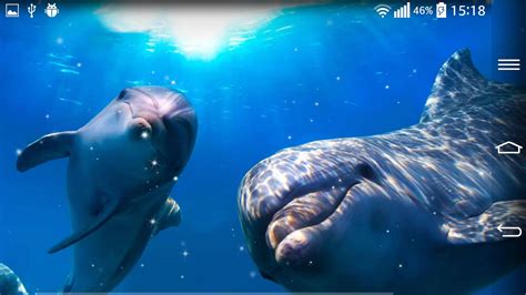 Dolphin Live Wallpaper For Android Apk Download