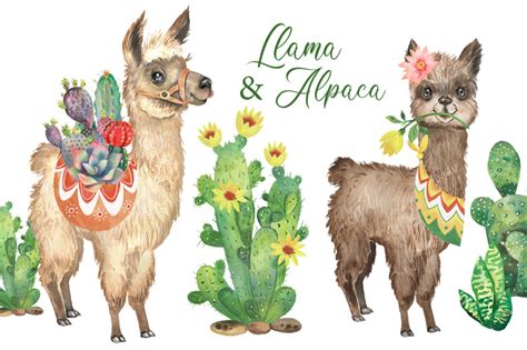 Llama Clipart Alpaca Watercolor Clipart Cute Animals Kids Clipart By