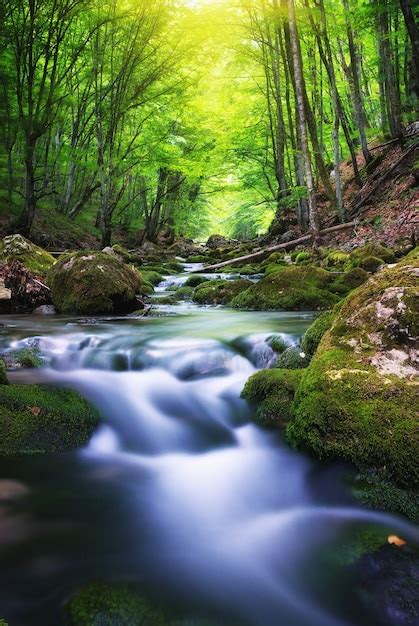 Premium Photo River Deep In Mountain Forest Nature Composition