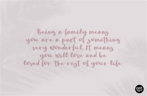 It's soft, but clear shapes come with romantic connotations. LILY a Bold Distressed Font By Dixie Type Co ...