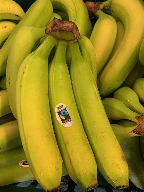 Organic Bananas Eco Freaks Emporium