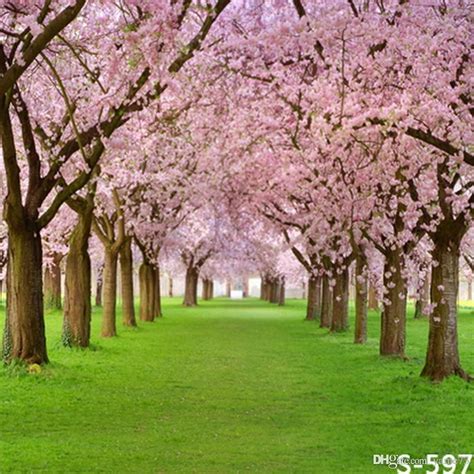 2020 5x7ft Vinyl Sakura Tree Spring Grass Field Photography Studio