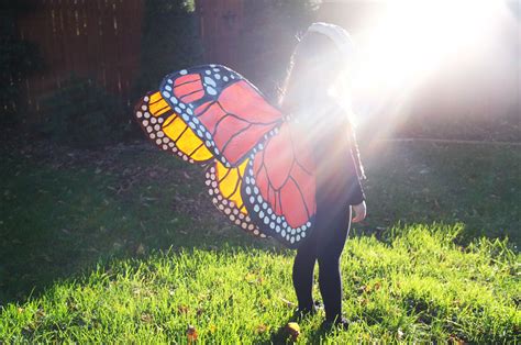 Monarch Butterfly costume | Monarch butterfly costume, Butterfly costume, Monarch butterfly