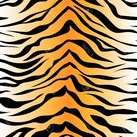 Tiger Stripe Pattern Vector At Collection Of Tiger