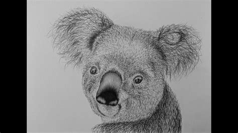 How To Draw A Koala Bear Step By Step Youtube Koala Drawing Bear