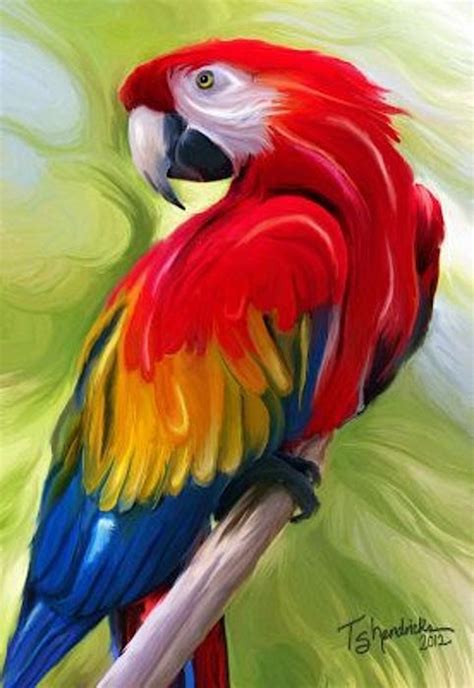 Pin By Antonio Fuentes On Animal And Bird Parrot Painting