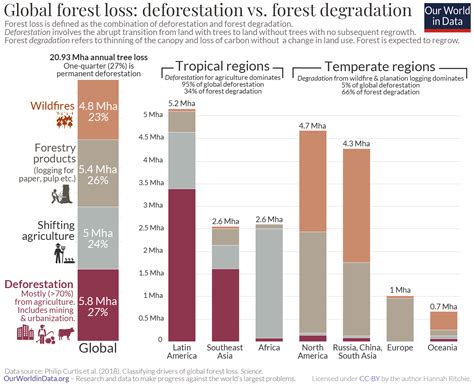 Global Deforestation Graph