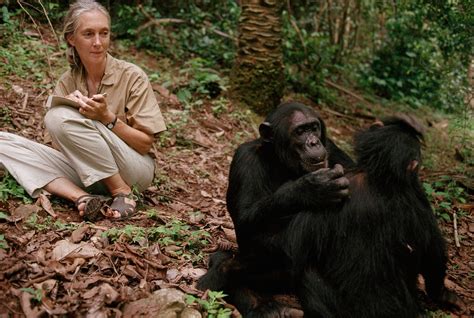 New Jane Goodall Film To Reveal Never Before Seen Footage