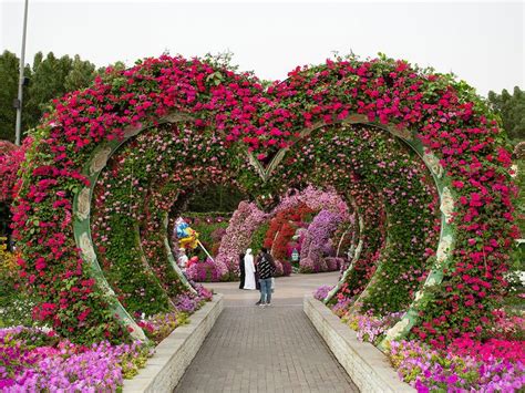 Photos A Look Inside Dubai Miracle Garden Lifestyle Photos Gulf News