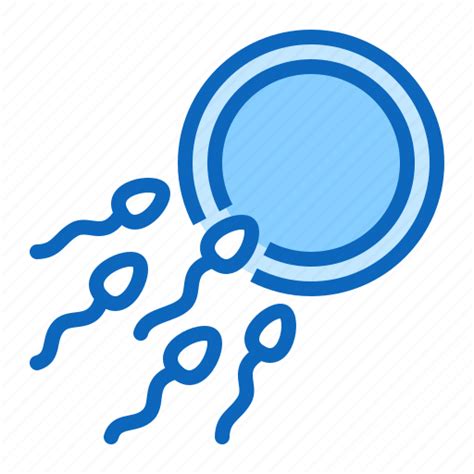 Egg Fertilization Insemination Ovulation Ovum Sperm Icon