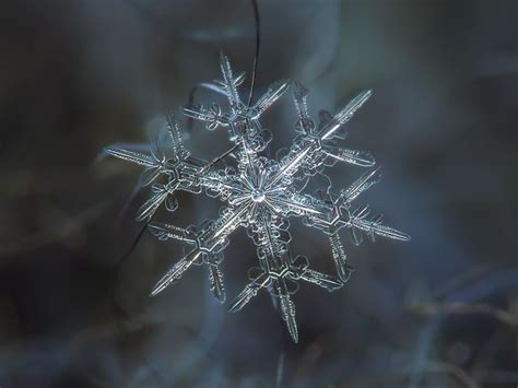 Macro Photos Of Snowflakes Reveal Impossibly Perfect Designs