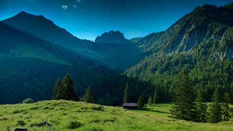 Free Photo Lush Green Mountain Forest Green Height Free Download