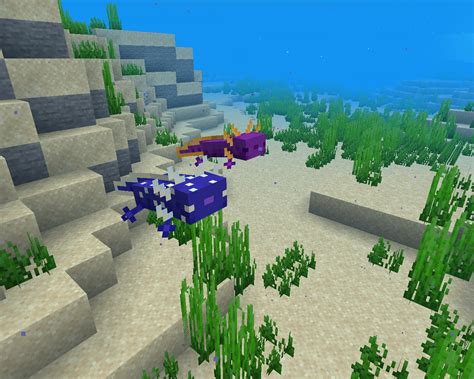 Variated Axolotls Minecraft Texture Pack