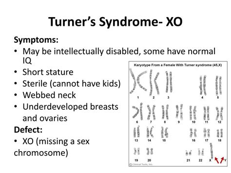 ppt karyotype and chromosomal mutation notes powerpoint presentation id 6359809