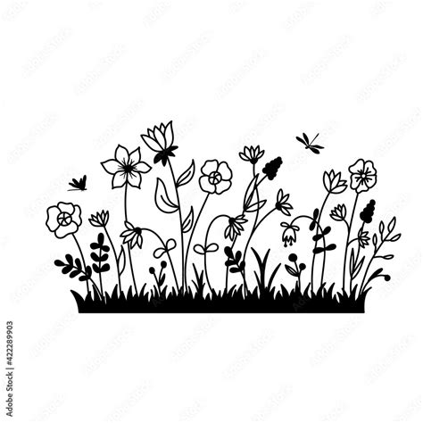 Vector Wild Herbs And Flowers Silhouette Background Field With Grass