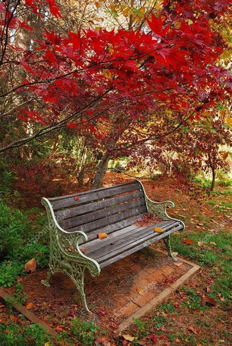 Images Autumn Park Bench Single Autumn Park Bench — Stock Photo