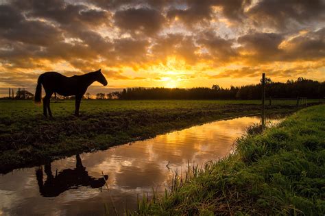 scenery, Sunrises, And, Sunsets, Grasslands, Rivers, Horses, Sky