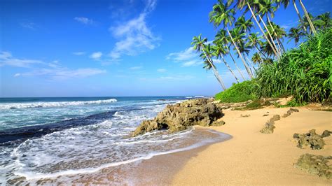 Download 2560x1440 Wallpaper Beach Sea Waves Tropical Beach Palm