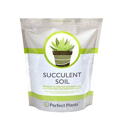 Succulent and cactus soil mix by superfly bonsai. Top 9 Potting Soil for Succulents - Home & Kitchen ...