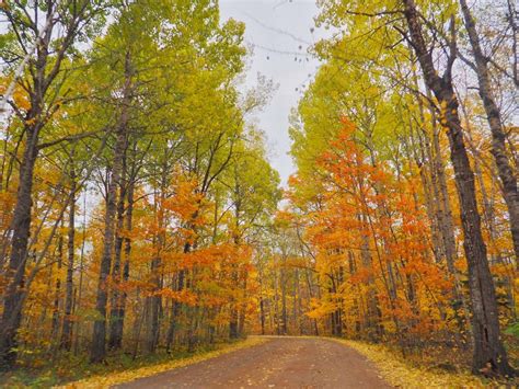The 7 Best Places To See Fall Colors In Minnesota Hammockliving