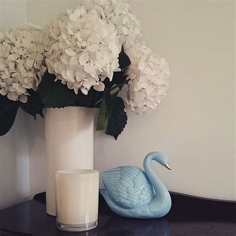 White Hydrangeas In A White Vase Equals Monochromatic Chic
