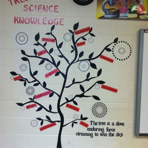 Word Wall For My Physical Science Middle School Class The Tree And Cir
