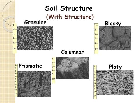 Ppt Soil Science Powerpoint Presentation Free Download Id5350455