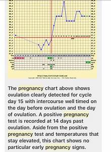 Your Bbt Chart Here Page 2 Babycenter