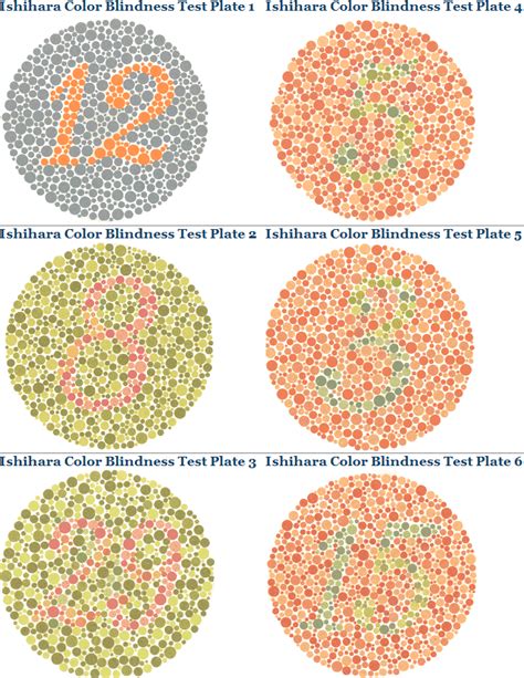 Color Blindness Tests And Identification
