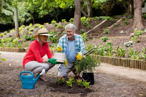 These tools for gardening are specifically designed for seniors while keeping their comfort and convenience in mind. Health Benefits of Gardening for Seniors - Main Line Adult ...