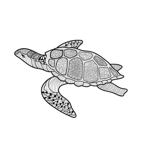 Premium Vector Vector Illustration Line Sea Turtle Beautiful