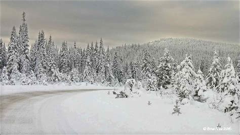 Northern Interior British Columbia Winters December 2015 Snowfall 3