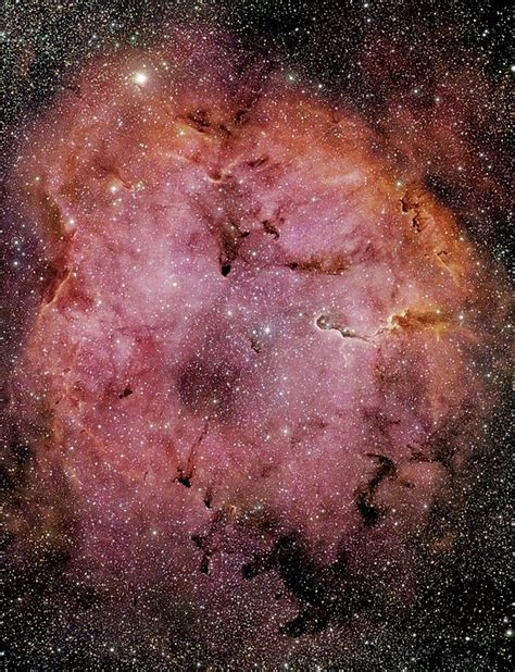 Mu Cephei Garnet Star Facts Size Constellation Location Star Facts