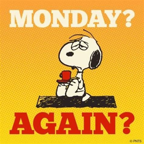 50 Funny Monday Quotes Snoopy Love Snoopy Quotes Snoopy