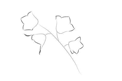 Kako Nacrtati Cvet U Etapama