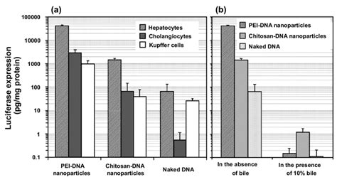 Transfection Effi Ciency Of PEI DNA And Chitosan DNA Nanoparticles And