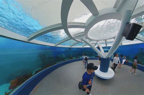 Watch Largest Oceanarium In The Philippines Now Open In Cebu Abs Cbn