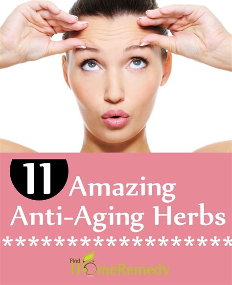 11 Amazing Anti Aging Herbs Find Home Remedy And Supplements
