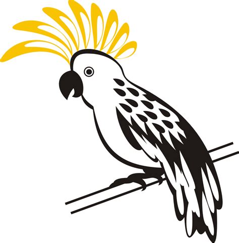 Gambar Free Download Burung Kakatua Vector Kumpulan Logo Lambang