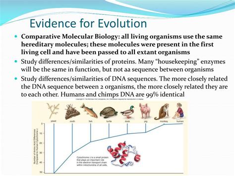Ppt Evolution Descent With Modification Powerpoint Presentation