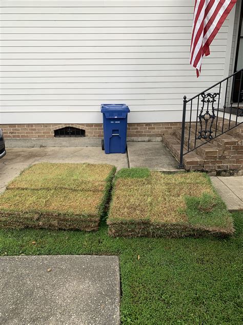 The deep green color of empire zoysia makes any landscape look manicured and healthy. 1/4 of a Pallet of Zoysia Sod Available in NOLA | TigerDroppings.com