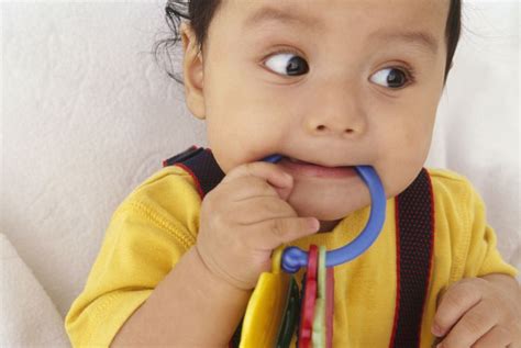 A General Guide To Infant Teething