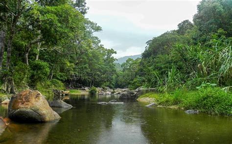 River In The Rainforest Stock Photo Image Of Travel 150614394