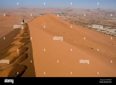 Climbing Red Sand Dunes Namib Desert Namibia Africa Stock Photo Alamy